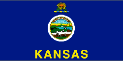 State Flag